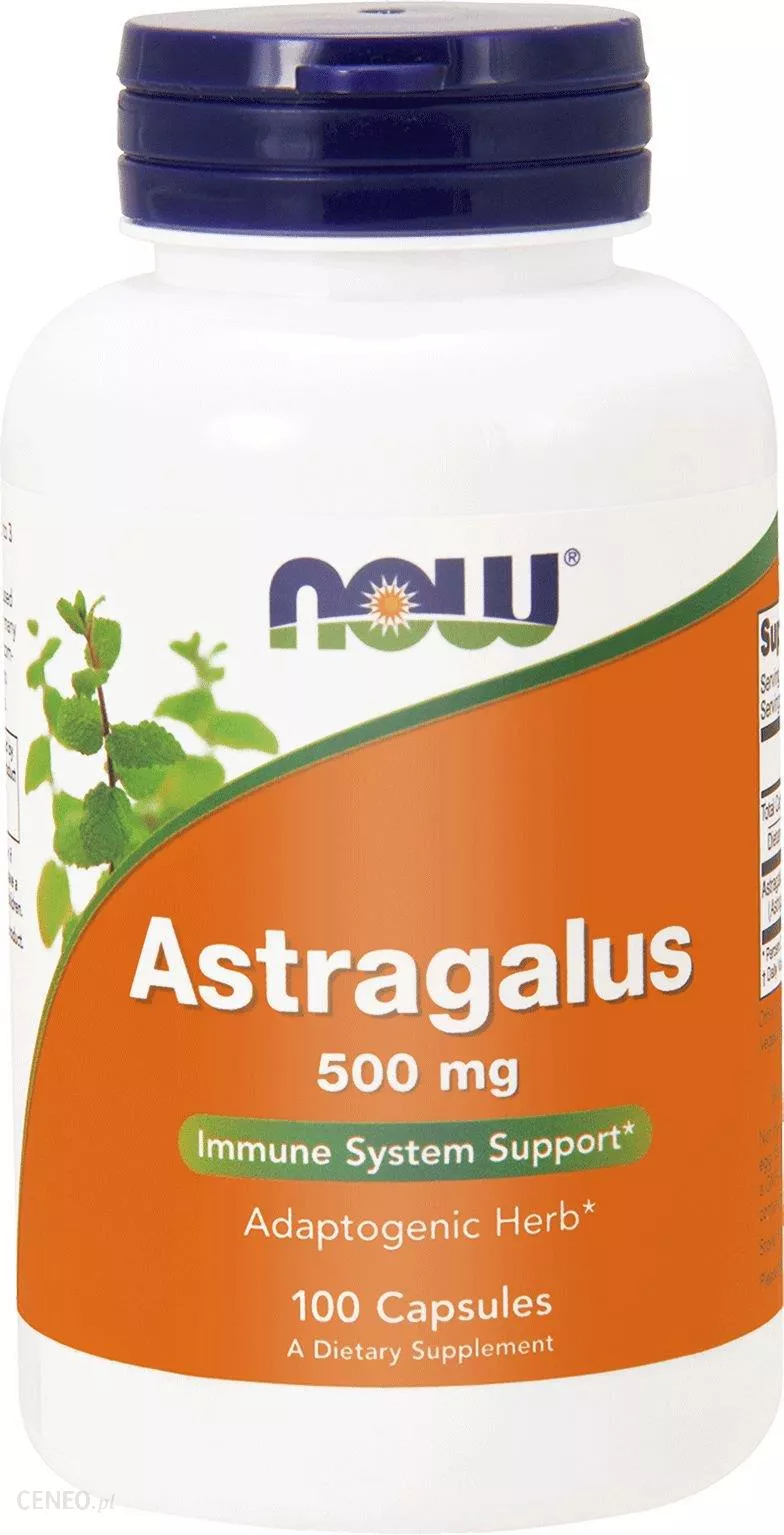 NOW Foods Astragalus 500mg 100vkaps. Wzmocnienie Organizmu